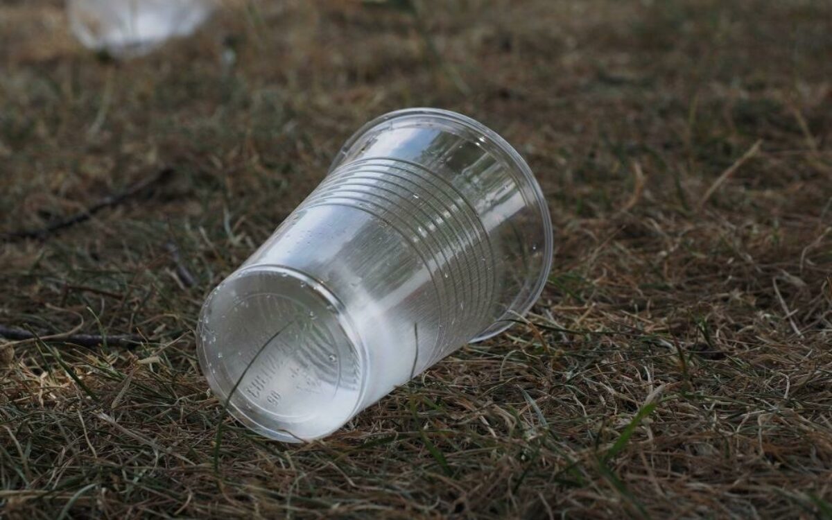1611583583beverage cups 2147903 1920 1 1611583583beverage cups 2147903 1920 1